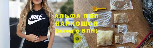 сатива Абаза