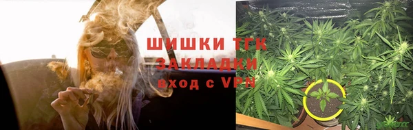 индика Осинники