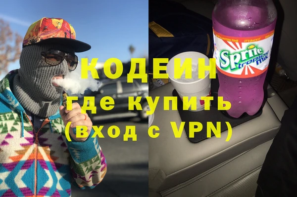 индика Осинники